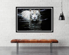 Looking at Me Looking at You by Renee Doyle, Wildlife Poster 2021 - egoamo.co.za