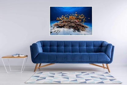 Marine Life - room mockup - egoamo posters