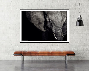The Matriarch by Piet Flour - elephant and wildlife photography poster - room mockup - egoamo posters