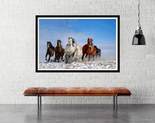 Mongolia horses - room mockup - egoamo posters