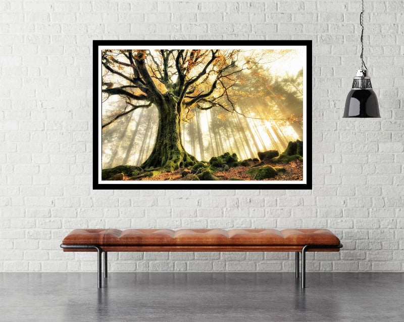 November by Christophe Kiciak - Tree Poster - egoamo.co.za