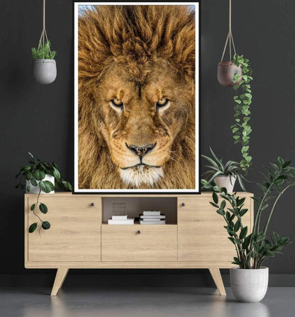 Serious Lion by Mike Centioli - Wildlife Poster - egoamo.co.za