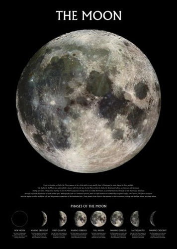 The Moon Poster - egoamo.co.za