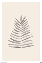 Palm Leaf - Art Poster - egoamo.co.za