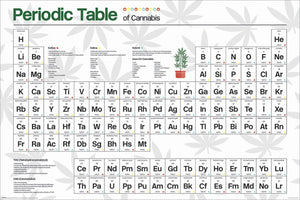 Periodic Table of Cannabis Poster Egoamo.co.za Posters 