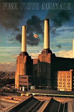 Pink Floyd - Animals Poster - egoamo.co.za