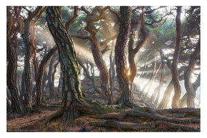 Sacred Pine Trees - egoamo posters