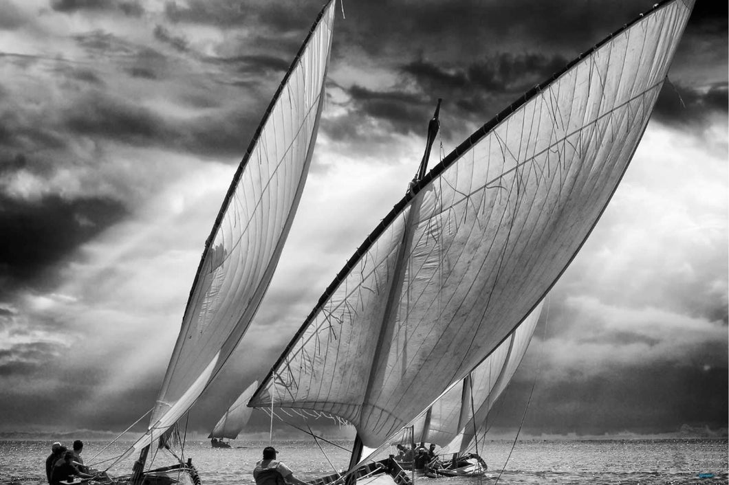 Sailboats And Light - sailing poster - egoamo.co.za
