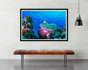 Sea Life - room mockup - egoamo posters