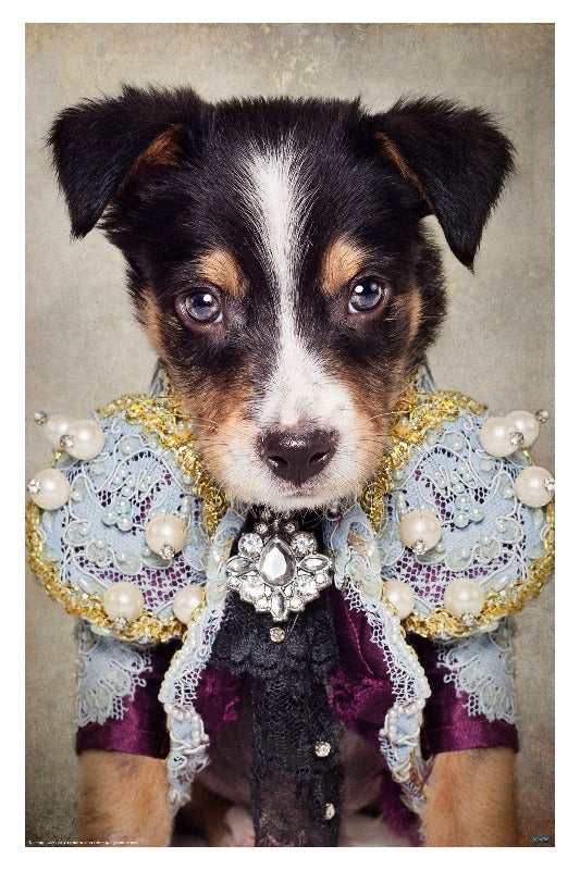 Shelter Pets: Loki with Frills by Tammy Swarek - Surrealism Art Poster - egoamo posters