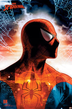 Spider-Man: Protector of the City Poster - egoamo.co.za