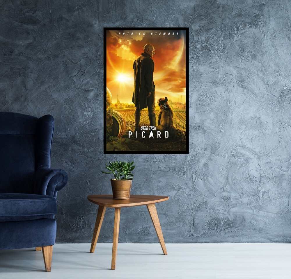 Star Trek - Picard Poster  egoamo.co.za Posters 