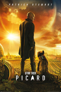 Star Trek - Picard Poster  egoamo.co.za Posters 