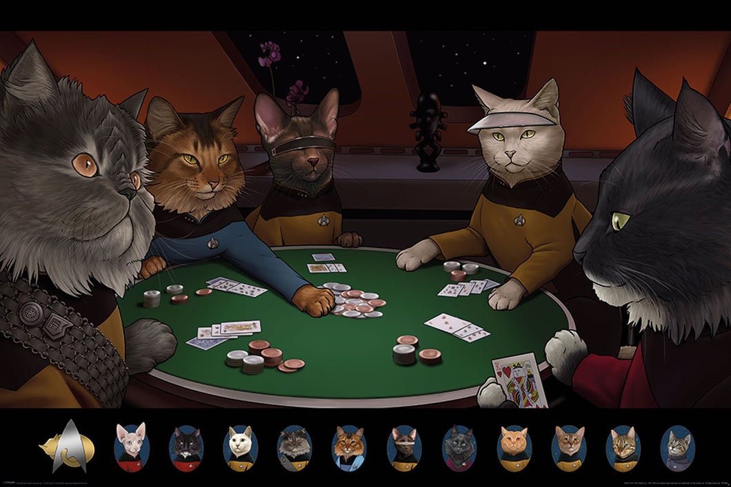 Star Trek Cats Poker Poster egoamo.co.za Posters 
