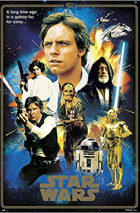Star Wars - 40th Anniversary Heroes Poster - egoamo.co.za