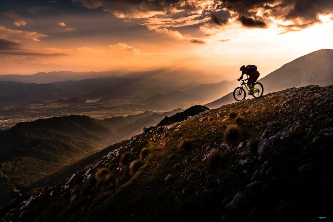 Sunset Ride by Sandi Bertoncelj  - Mountain Biking Poster - egoamo.co.za