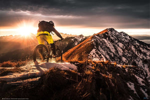 Take A Ride On The Sunny Side by Sandi Bertoncelj - Mountain Biking Poster - egoamo.co.za