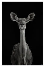 To be standing to attention by Mathilde Guillemot - Animal Portrait Poster - egoamo posters