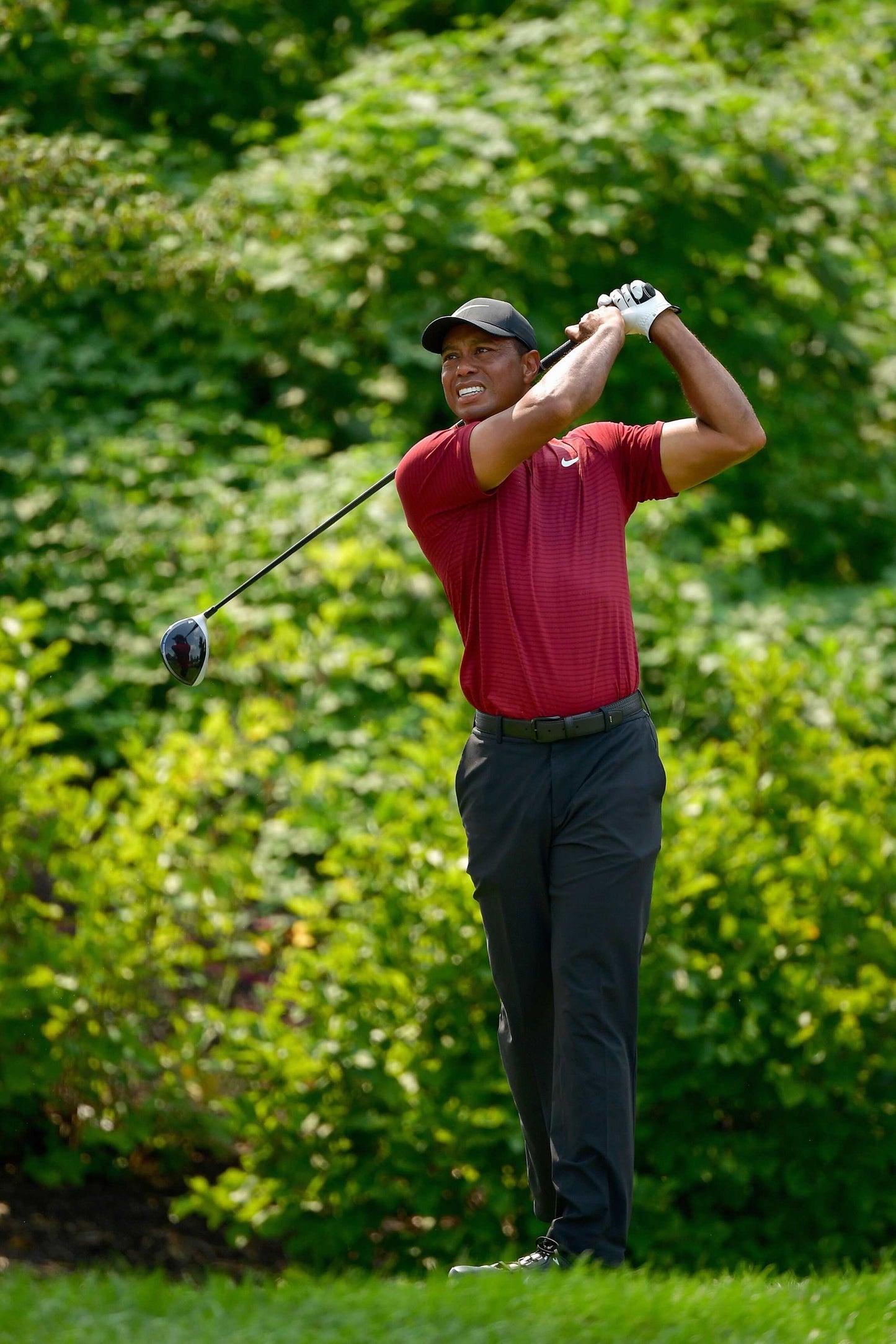 Tiger Woods Golf Poster - egoamo.co.za