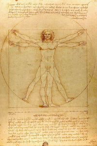 Vitruvian Man - Leonardo da Vinci poster - egoamo.co.za
