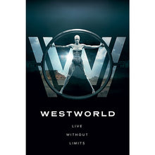 Westworld Poster - egoamo.co.za