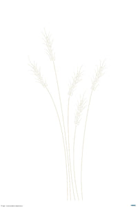 Wheat Grass - Art Poster - egoamo.co.za