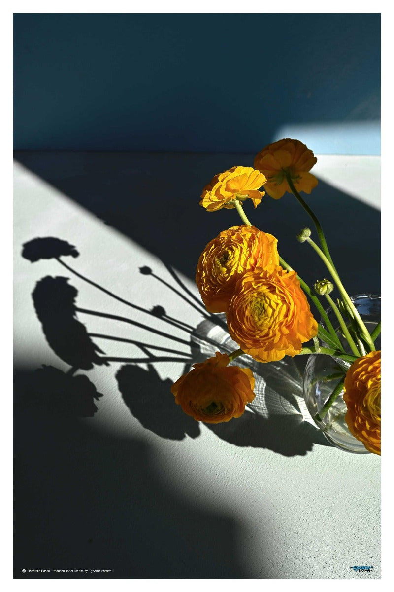 Yellow Buttercups - egoamo posters