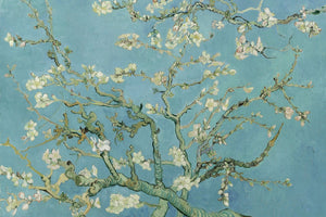 Vincent Van Gogh - Almond Blossom (1890) Poster - egoamo.co.za
