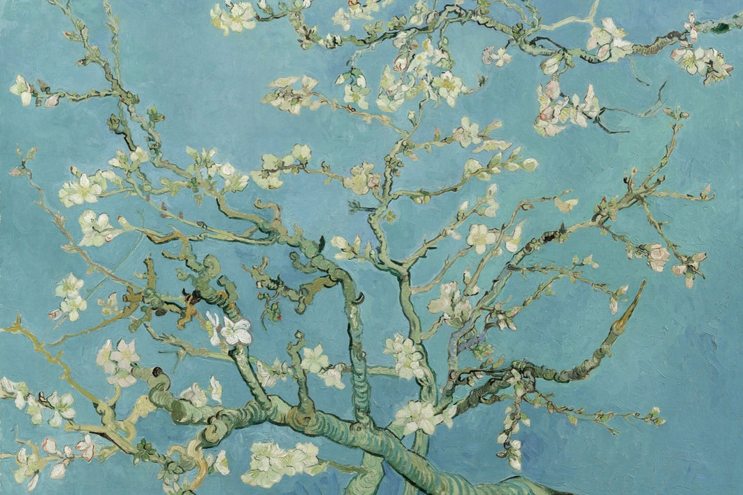 Vincent Van Gogh - Almond Blossom (1890) Poster - egoamo.co.za